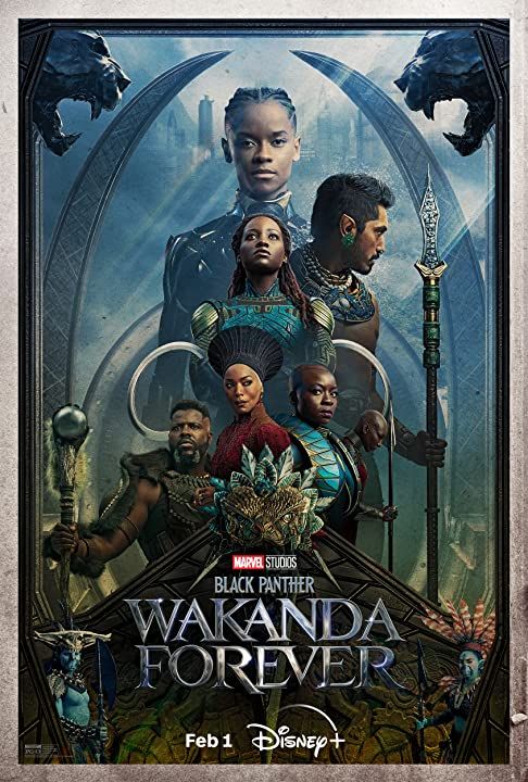 Black Panther: Wakanda Forever (2022) Hindi Dubbed ORG BluRay download full movie