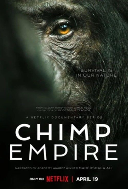 Chimp Empire (2023) S01 Hindi Dubbed Series download full movie