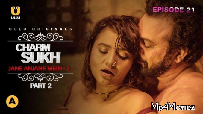 Jaane Anjane Mein 3 (2021) Part 2 Hindi DVDRip download full movie