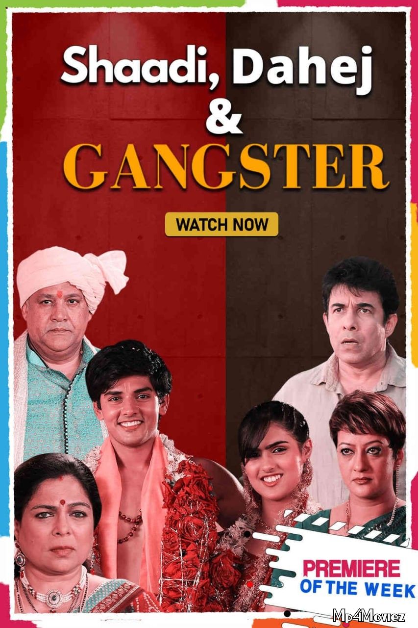 Shaadi Dahej And Gangster (2021) Hindi HDRip download full movie